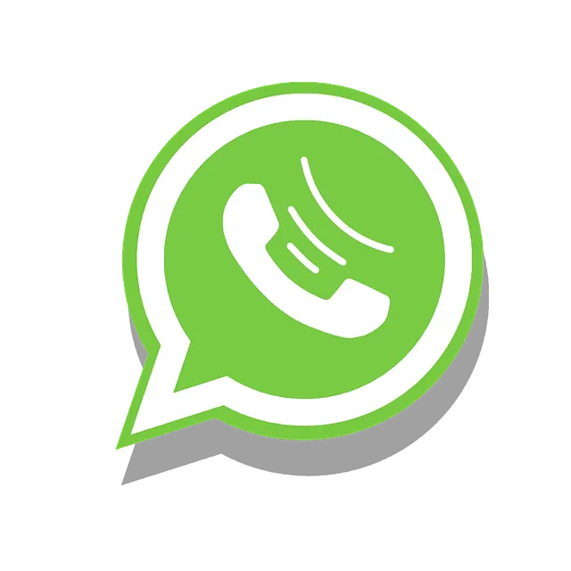 whatsapp now expert delivery packers